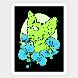 Space Sphynx Sticker